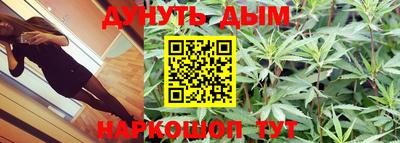 скорость Гатчина