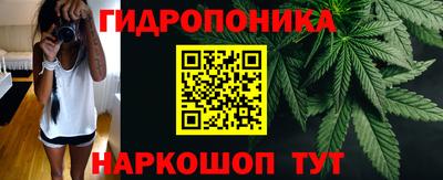 скорость Гатчина