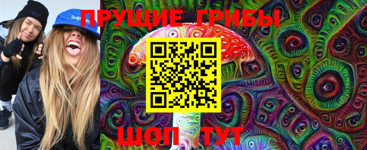 Новошахтинск  Псилоцибиновые грибы Psilocybine cubensis  Вход с VPN 